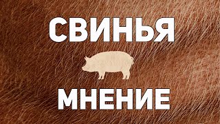 Свинья - Мнение о фильме