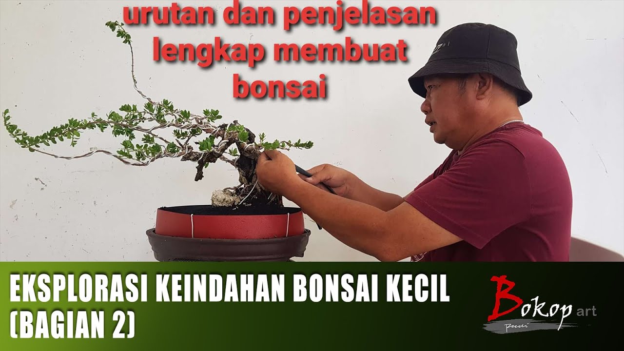 EKSPLORASI KEINDAHAN BONSAI KECIL (bagian 2)