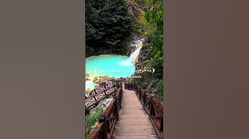 قرآن كريم آيات مريحة للقلب بدر التركي و ليعلمن الله اللذين آمنوا وليعلمن المنافقين #راحة_نفسية