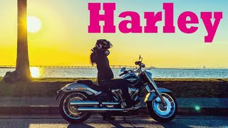 ハーレーの魅力を聞いてみた モトブログ バイク女子 Youtube