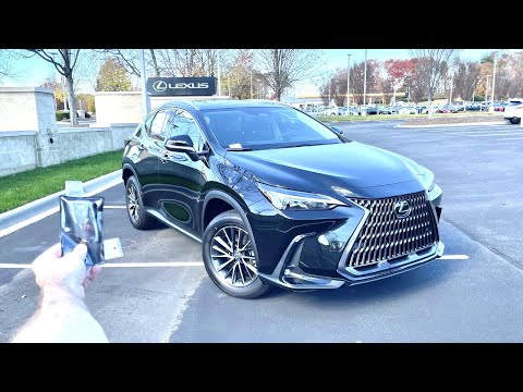 NEW Lexus NX350