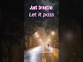 Just breathe. Let it pass #blues #music #slowblues #bluesmood #latenightvibes #relaxmusic #shorts