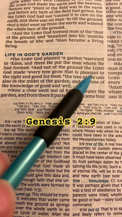 Revelation study SHORTS 2.7 #god #religion #bible #christ #history #jesus #youtubeshorts #subscribe