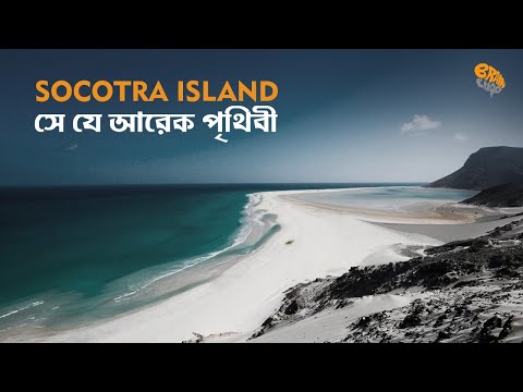 Socotra Island - সে যে আরেক পৃথিবী | Brain Chop