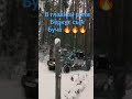 Всех с наступающим новым годом 🔥.В главной роли Беркут сын Буча 🔥🔥🔥