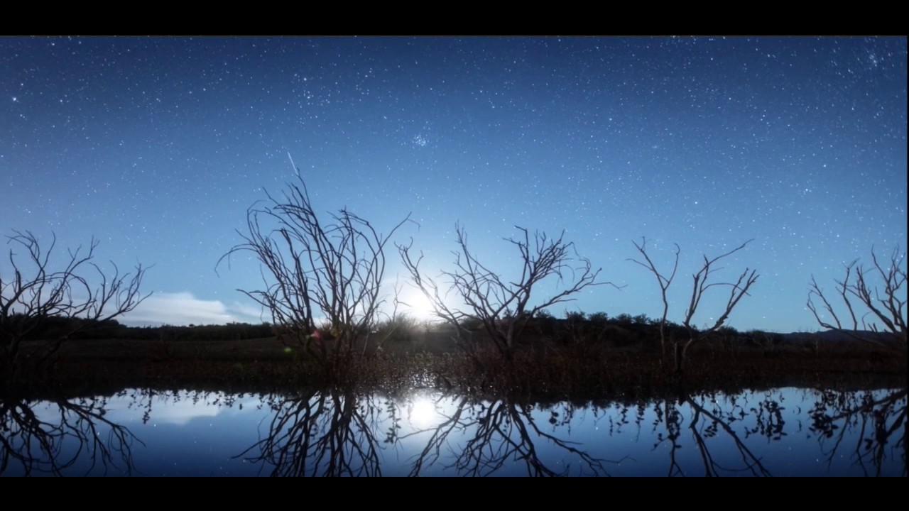 The Doors - Awake / Native Perceptions