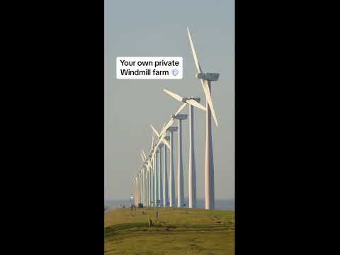What would you