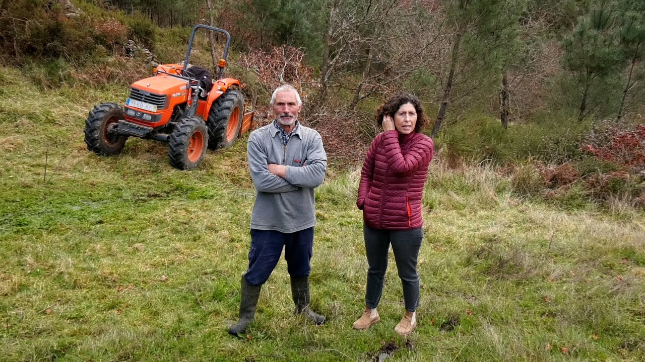 Lítio em Covas do Barroso: 