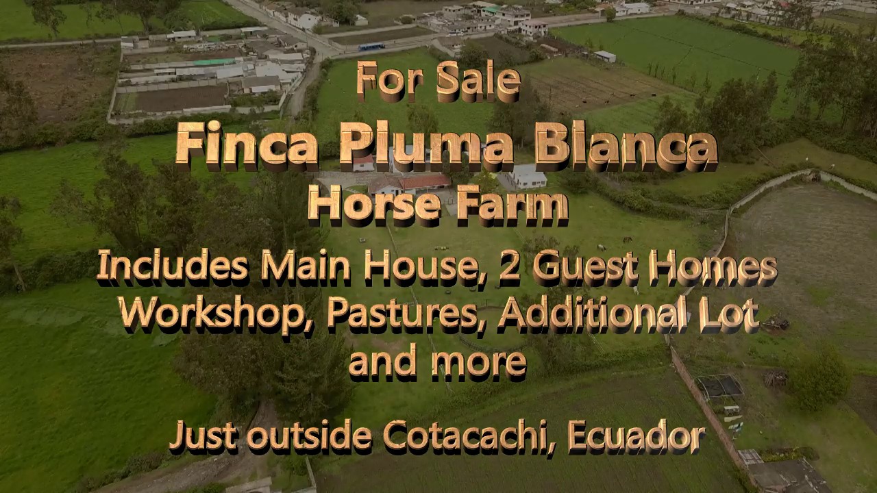 (SOLD) Beautiful Horse Farm outside Cotacachi, Ecuador YouTube