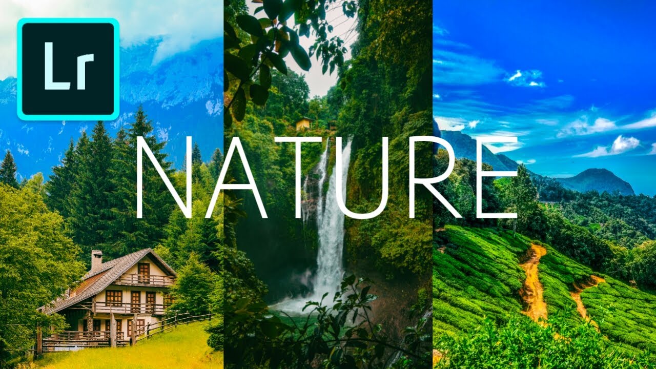 Nature Photography Preset Lightroom Presets DNG Free Download YouTube