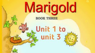 Marigold NCERT Book of class 3 unit 1 to unit 3 in one video @studywithabhay10