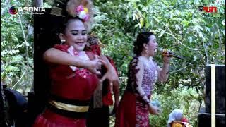 ASONIA, Tepang Sono Miss Asonia, Edisi Panyindangan