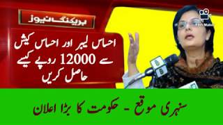EHSAS CASH PROGRAM | EHSAS LABOUR BEROZGAAR | screenshot 4