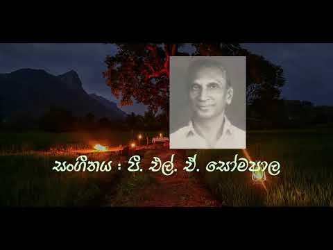 Tikiri Manike Without