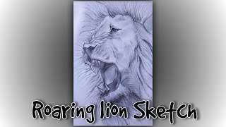 Lion - Pen Drawing - Splintertalk