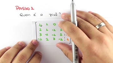 Sistemas Lineares e Não Lineares - Eliminação de Gauss