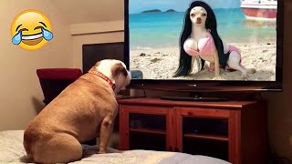 Funniest Dog Reactions to Being Left Home Alone   | Pets Island