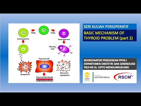 PJJ perioperatif Basic mechanism of thyroid problem (part 2)
