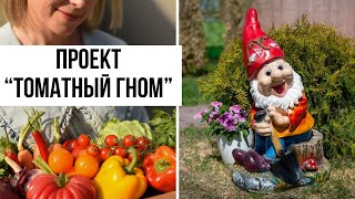 ТОМАТЫ-ГНОМЫ / Откуда и зачем? by Алёнин сад 6,499 views 3 months ago 16 minutes