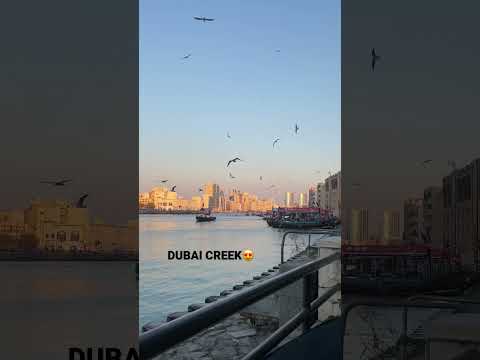 Dubai Creek Cafe # shorts #dubai #dubaicreek