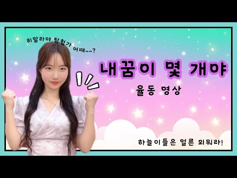 내 꿈이 몇 개야 율동