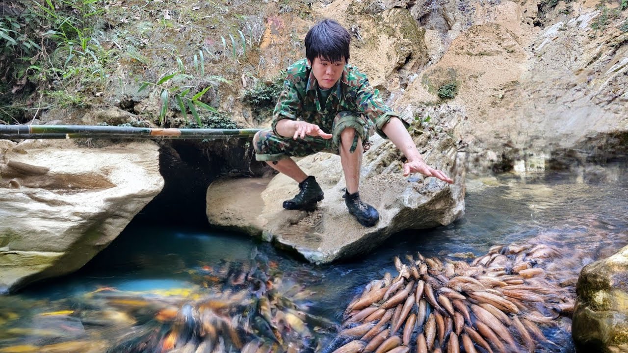 Use primitive skills to catch stream fish in the middle of the forest, survival skill