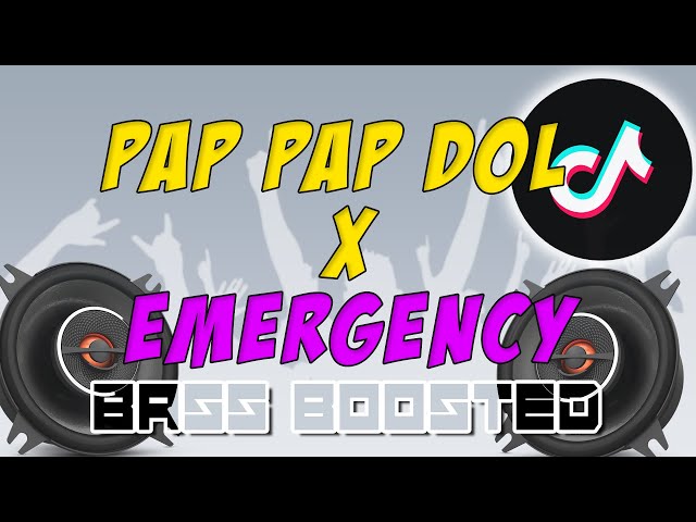 PAP PAP DOL X EMERGENCY X FAMILY AFFAIR MASH UP REMIX 2024- DJ DAN class=