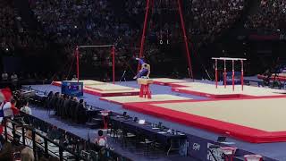 Cyril TOMMASONE (FRA) - Pommel Horse Final - Internationaux de France