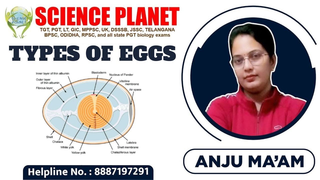 TYPES OF EGGS II TYPES OF EGGS ANIMAL KIGDOM II Explain BY ANJU MA'M II SCIENCE PLANET !