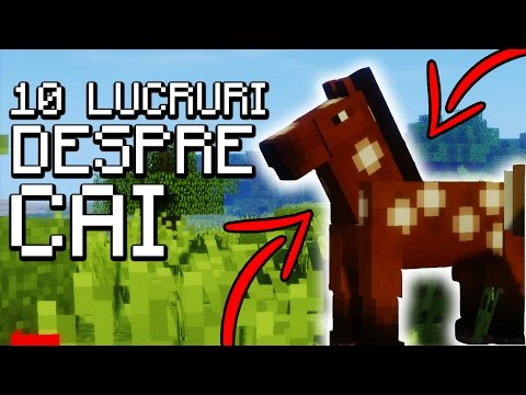 Video: Ce Mănâncă Caii în Minecraft