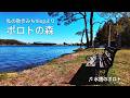 【私の散歩みちVlogより】白老町「ポロトの森」で新緑と湖畔の風景に癒される