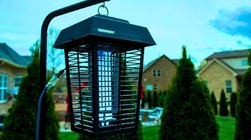 TOP 5 Best Outdoor  Bug Zappers for Pest Free Barbecues in 2023