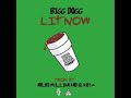 Bigg dogg  litnow official audio