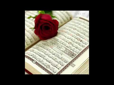 جعلها الله جمعة مباركة لي ولكم جميعا يارب