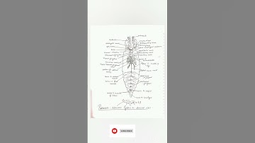 #Bsc 5 semester Zoology Practical #part1#shortvideo #shorts#paramecium#Hirudinaria#pila#