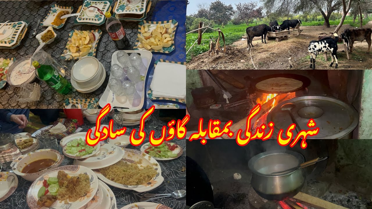 شہر میں شور، گاؤں میں سکون… آپ کس طرف ہیں ؟ 	باغوں کی سیر اور گاؤں کا پیار �	