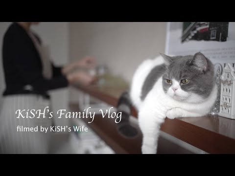 میں KiSH کی بیوی ہوں۔ میں نے پیارے سبسکرائبرز کے لیے ایک ویڈیو بنائی ہے :)