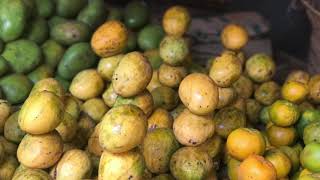 Visiting Darajani market | Zanzibar