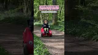 A Wonderful Wander In The Woods In Wizzybug Wait For The Smile At The End