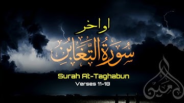 مَآ اَصَابَ مِنْ مُّصِيْبَةٍ اِلَّا بِاِذْنِ اللّٰهِ - اواخر سورة التغابن - القارئ محمدامين - ❤️🎧