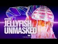 Jellyfish Unmasked | Series 4 Ep 7 | TMSUK