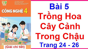 Công Nghệ Lớp 4 Bài 5 | Trồng Hoa Cây Cảnh Trong Chậu | Trang 24 - 26 | Kết Nối Tri Thức