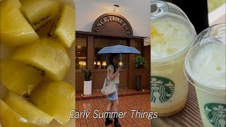 Early Summer Things | 비 오는 초여름 일상 브이로그, 언박싱, 맛집, 리뷰