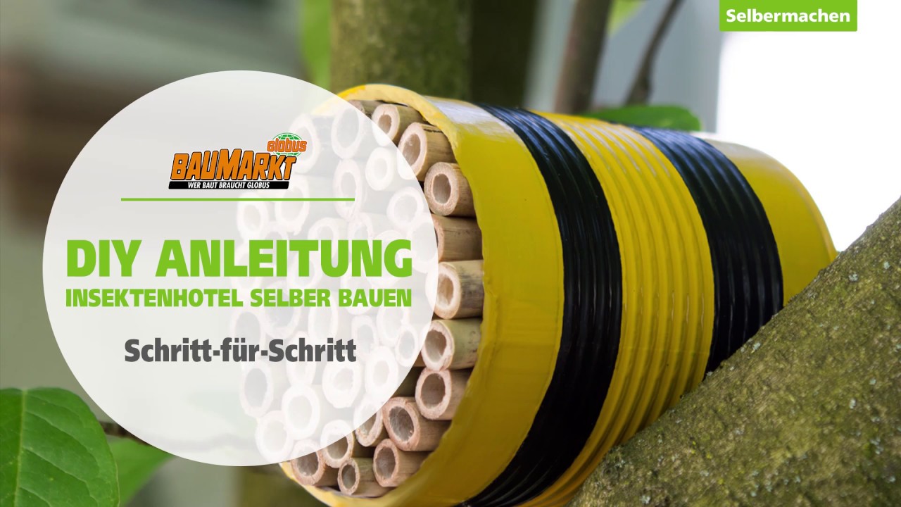 Insektenhotel selber bauen | GLOBUS BAUMARKT