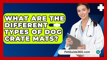 What Are The Different Types Of Dog Crate Mats? - PetGuide360.com