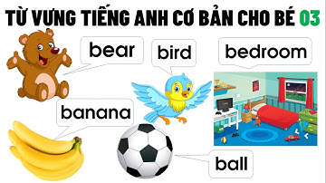 Từ vựng tiếng anh cơ bản cho bé Bài 3 | Dạy bé học tiếng anh lớp 1 - Thanh nấm