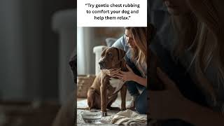Dog Coughing Quick Gagging Treatment and Pet First Aid Tips #dogcoughing #shorts