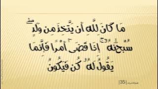 019 مريم- Maryam هاني الرفاعي - Hani Al-Rifai BRX