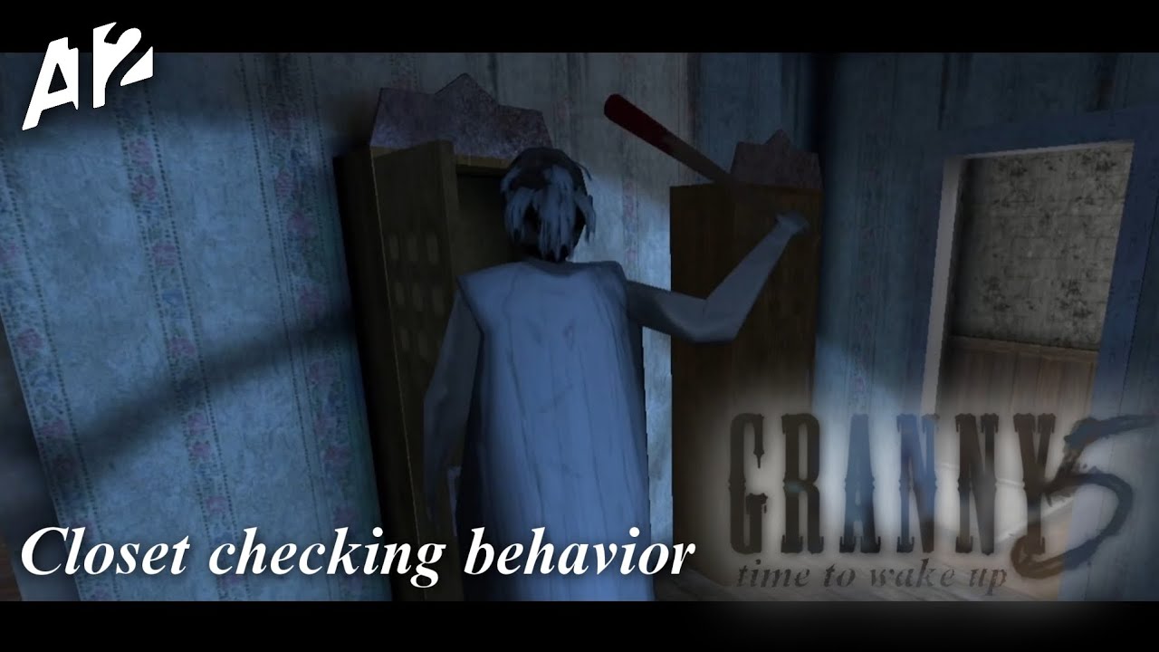 GRANNY 5 1.6 NEW CLOSET CHECKING BEHAVIOR 