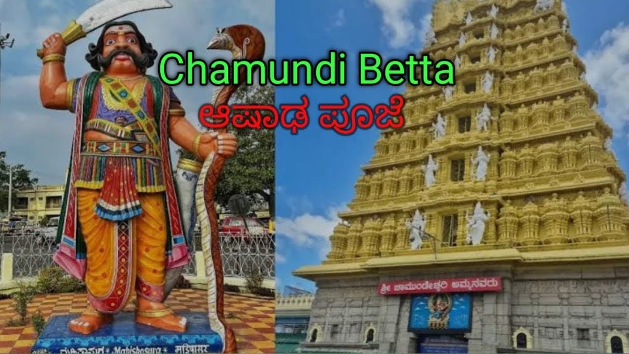 ಆಷಾಢ ಮಾಸ | ಚಾಮುಂಡಿ ಬೆಟ್ಟ ದರ್ಶನ | VIP entry experience | Special pooje moments | full guide tour 🙏🏻🙏🏻